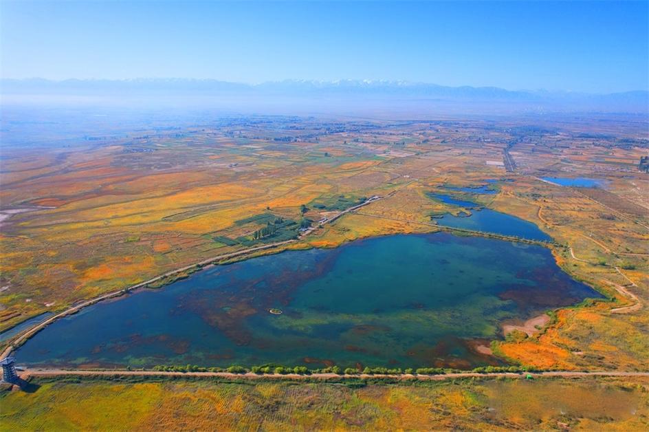 草湖国家湿地公园